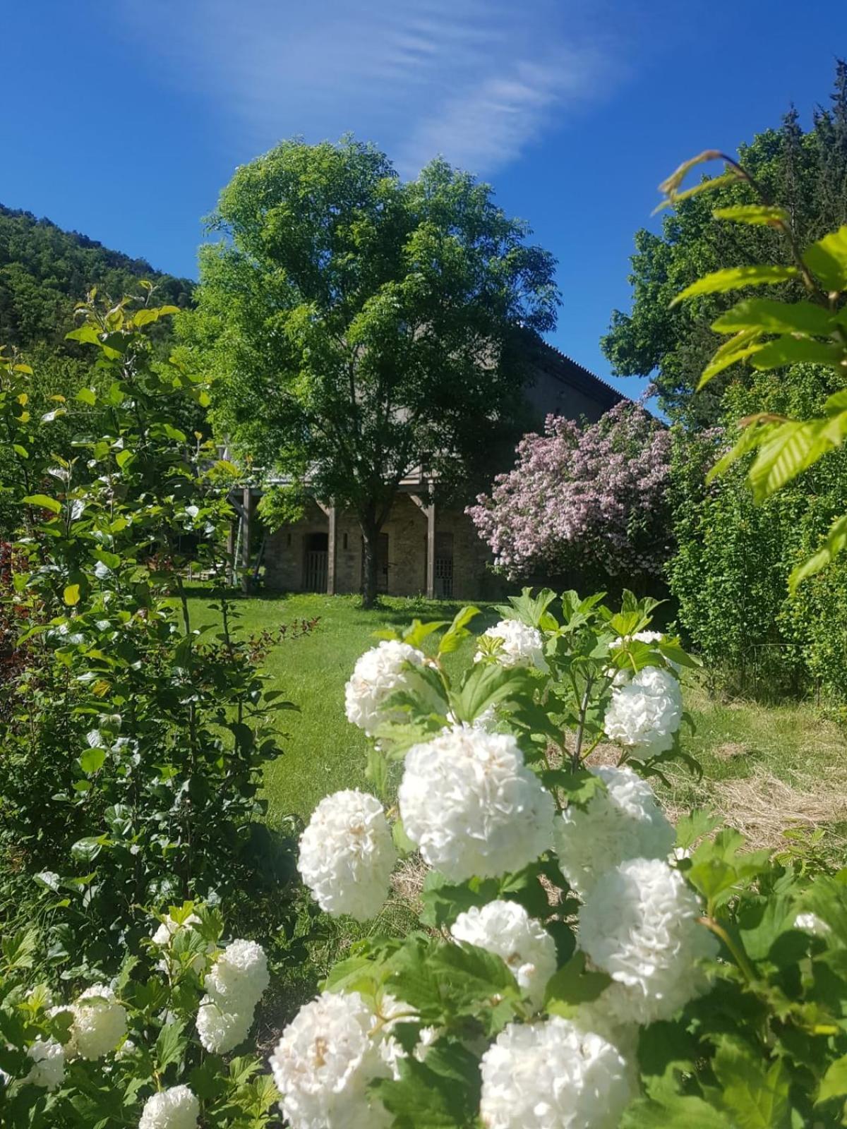 Les Gites Du Saro Chabestan Exterior foto
